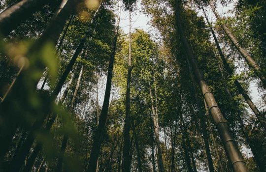 פתרונות במבוק2